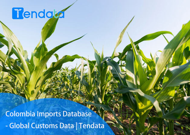 export import data