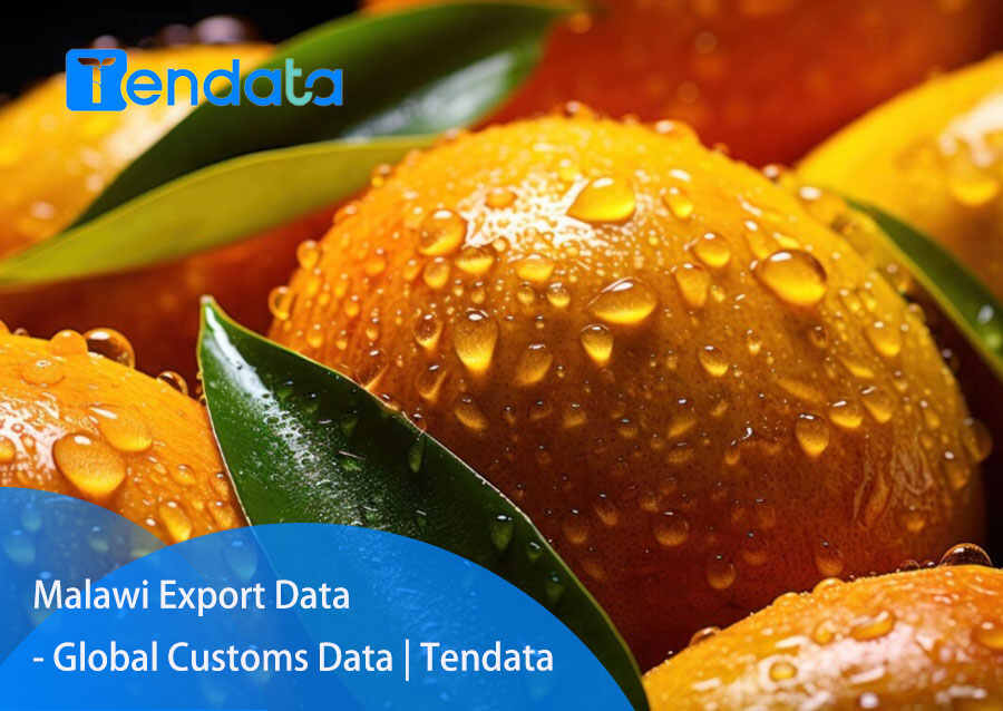 export import data