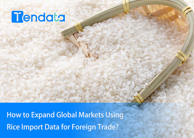 export import data