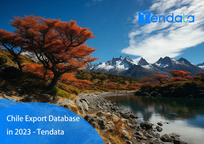 export import data