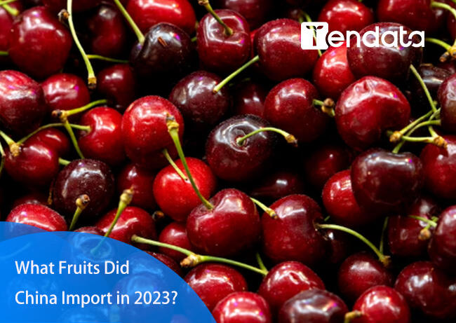 export import data