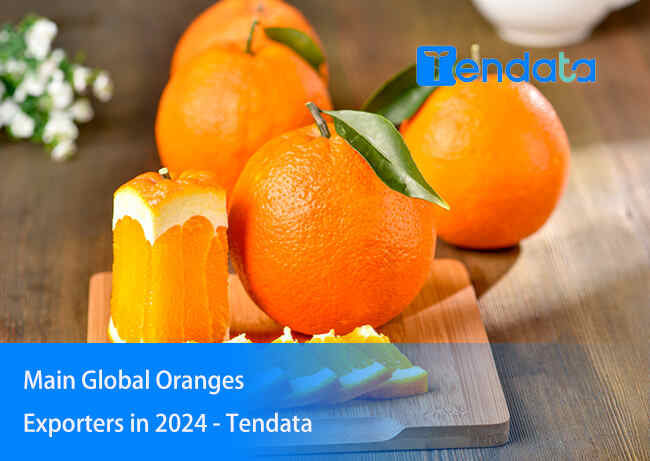 export import data