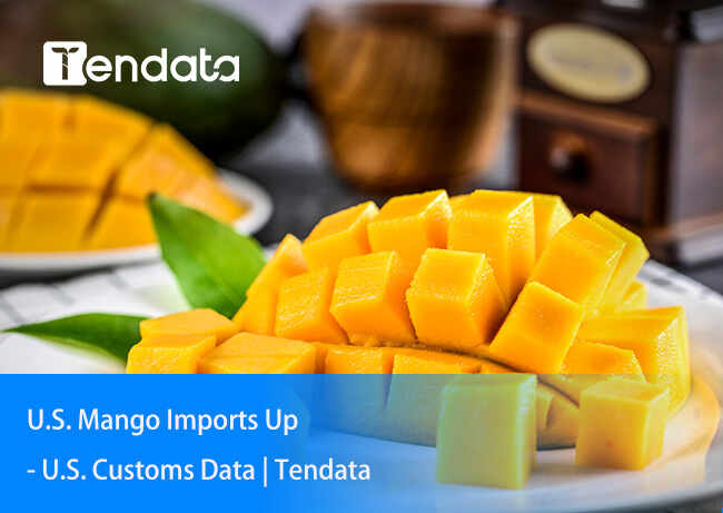 export import data