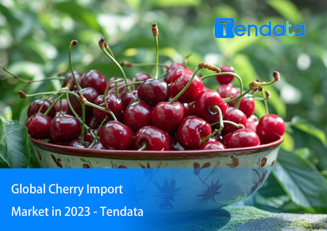 export import data