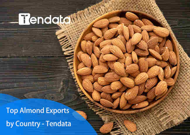 export import data
