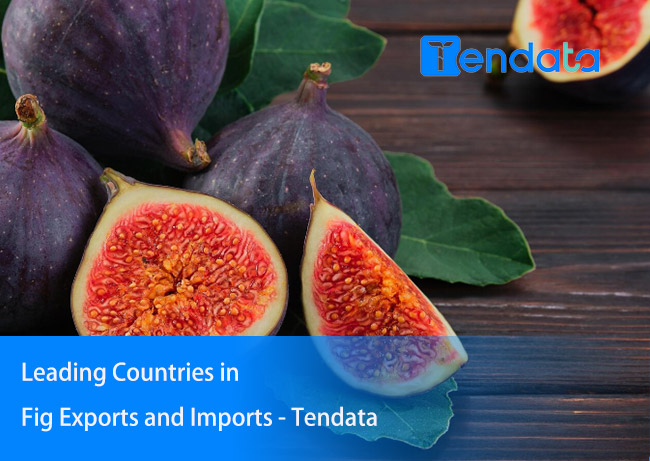 export import data