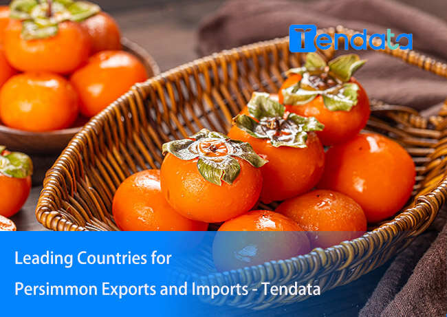 export import data