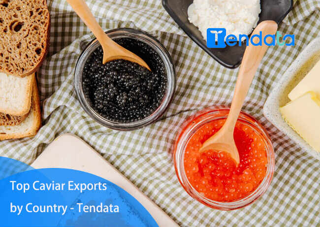 export import data