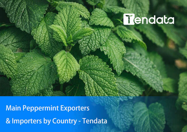 export import data