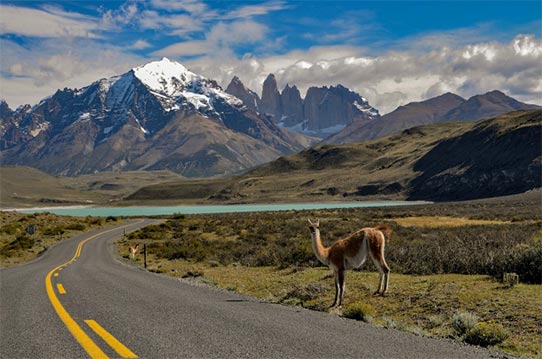 Chile Customs Trade Data Platform - Tendata Global Trade Data