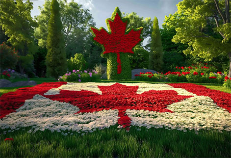 Canada Trade Data | Canada Import Data & Export Data - Tendata