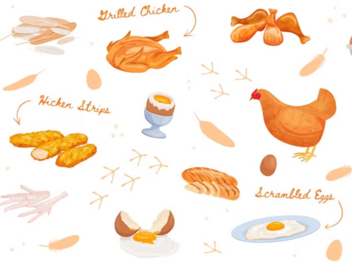 Where Can You Find the Top Chicken importers in the Global Market? - Tendata