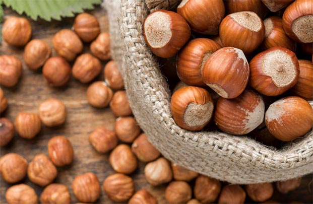 Global Hazelnut Exports & Imports by Country in 2024 - Tendata