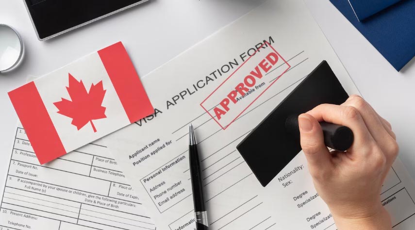 Canada Biggest Imports: Key Products and Global Market Trends - Tendata