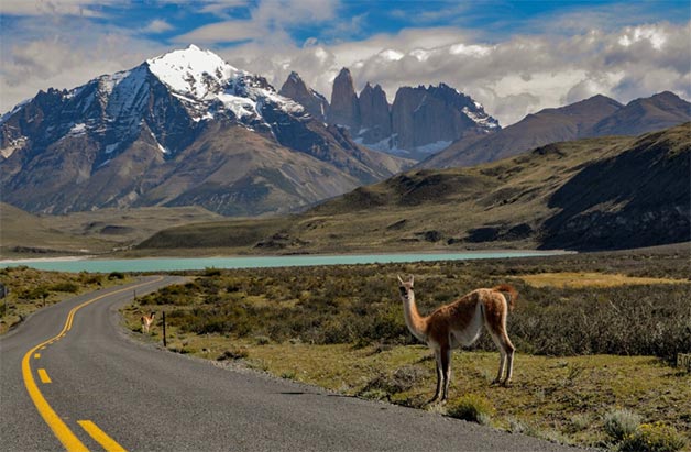 Chile Importers Data & Companies List in 2024 - Tendata