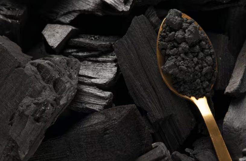 Which Companies are the Top 10 Charcoal Importers in 2024? - Tendata