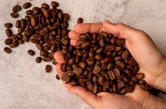 Which Countries Dominate Global Coffee Bean Imports in 2024? - Tendata