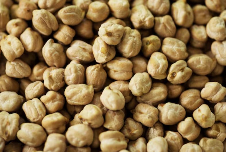 Where Can You Find the Top Chickpea Exporters in the Global Market? – Tendata
