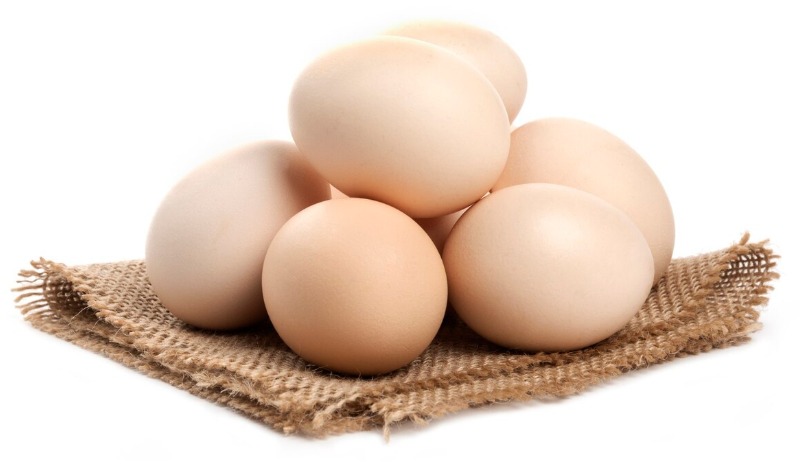 Leading Eggs Import Countries and Companies in 2024 - Tendata