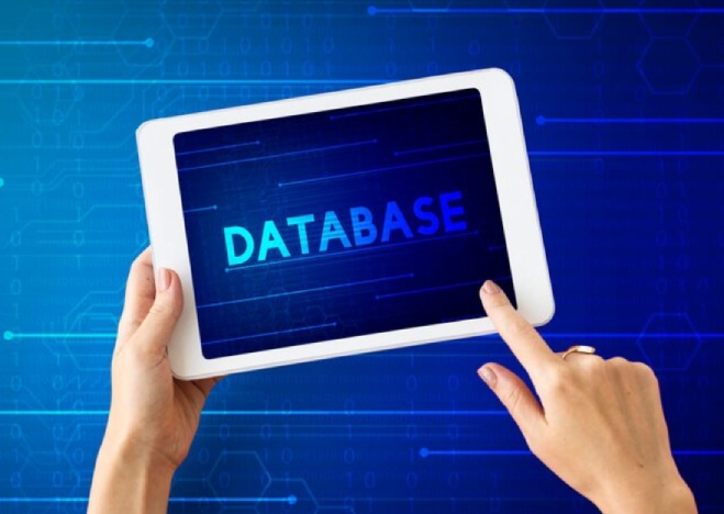 How to Choose the Right Customs Data Platforms: A Complete Guide