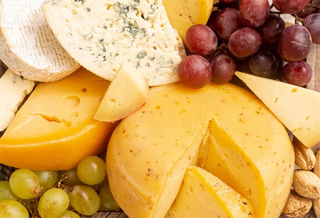 Global Cheese Imports by Country & Company in 2024 - Tendata