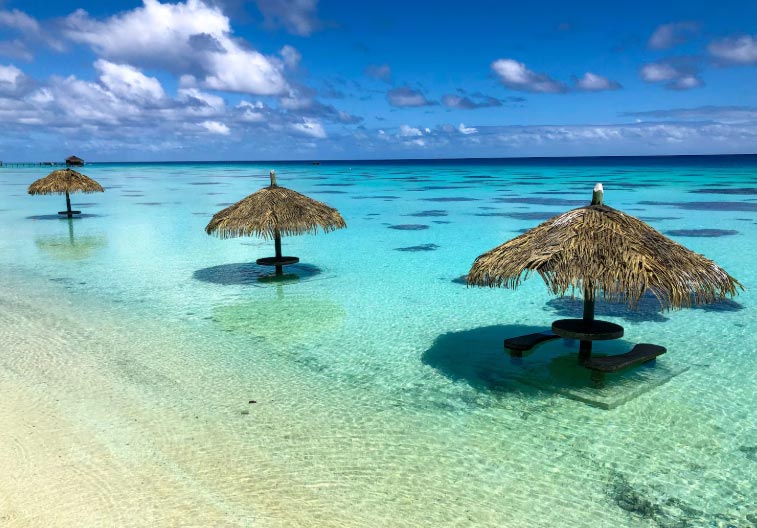 Bahamas Import Data in 2024 - Tendata