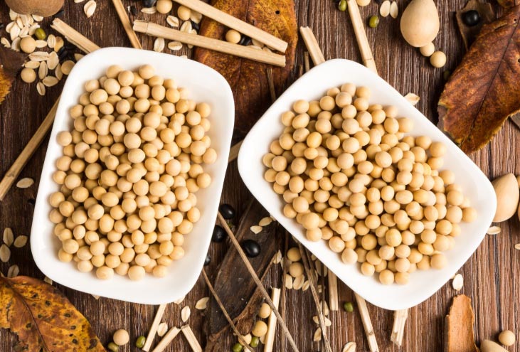 Global Soy Exporters Overview in 2025 - Tendata