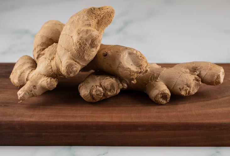 Global Ginger Importers in 2025 Overview - Tendata