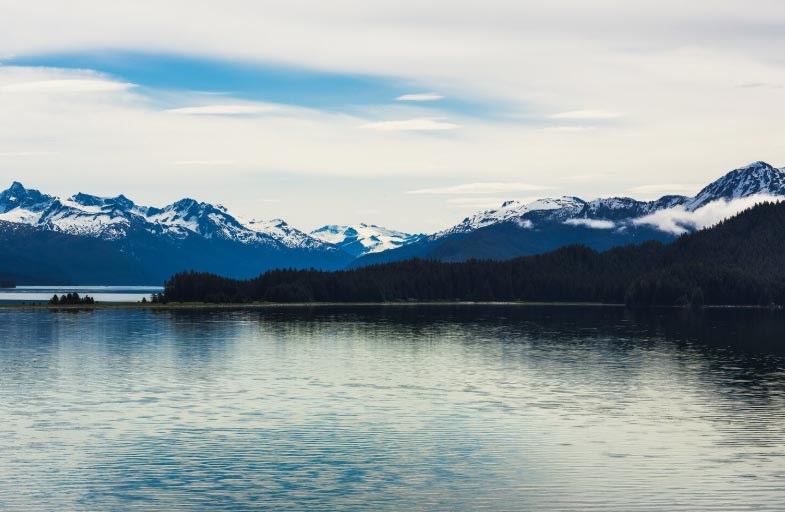 Customer Acquisition Channels and Methods in New Zealand