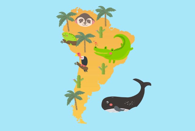 South America Company Directories and B2B Platforms for Customer Development