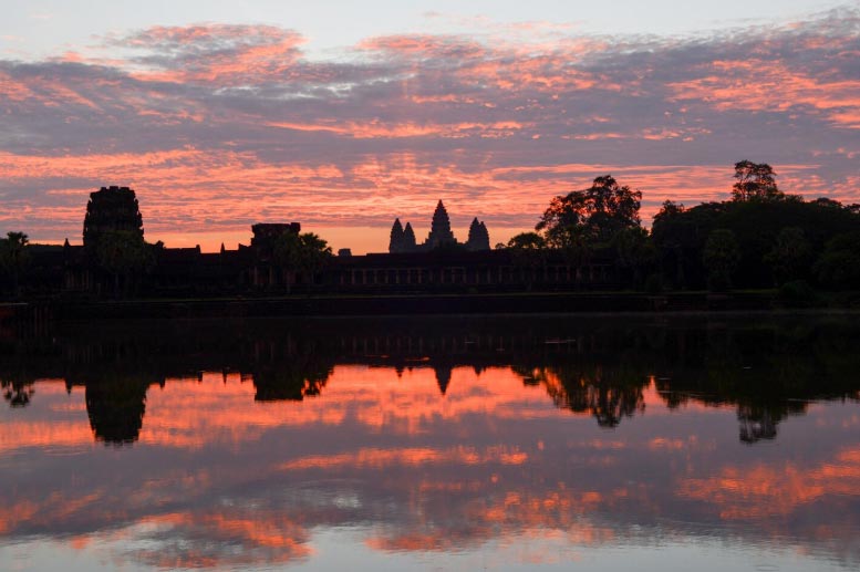 Cambodia Import Data in 2024 - Tendata