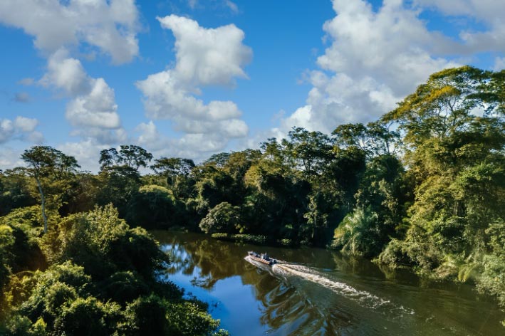 Costa Rica Export Import Data | Costa Rica Trade Data - Tendata