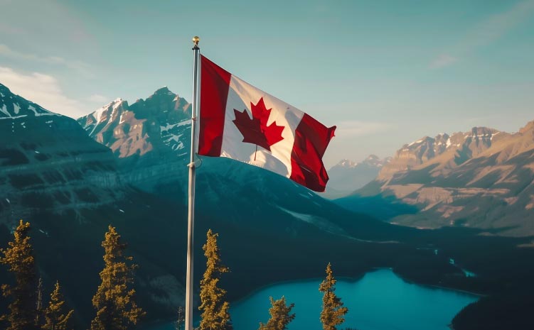 Top 10 Canadian Export in 2025 - Tendata