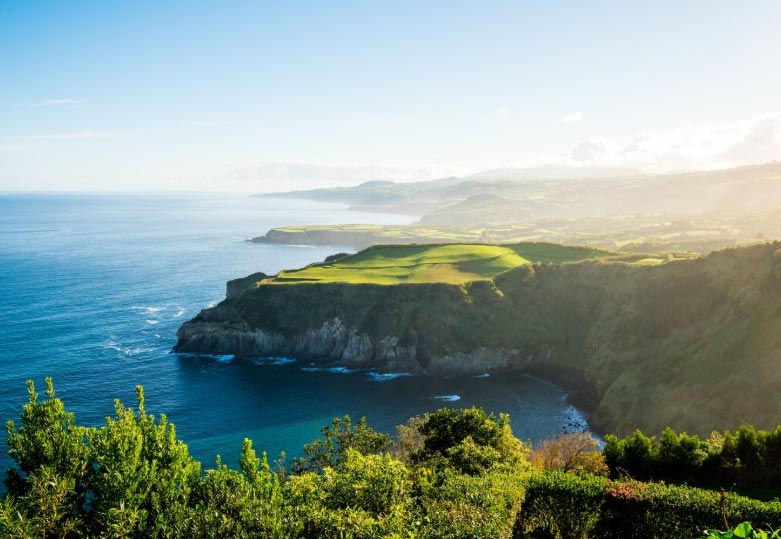 Major New Zealand's Export Trade Partners in 2025 - Tendata