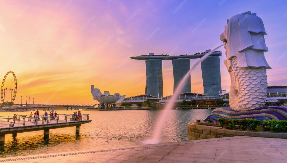 Importer Singapore Analysis 2025 - by Country & Company | Tendata