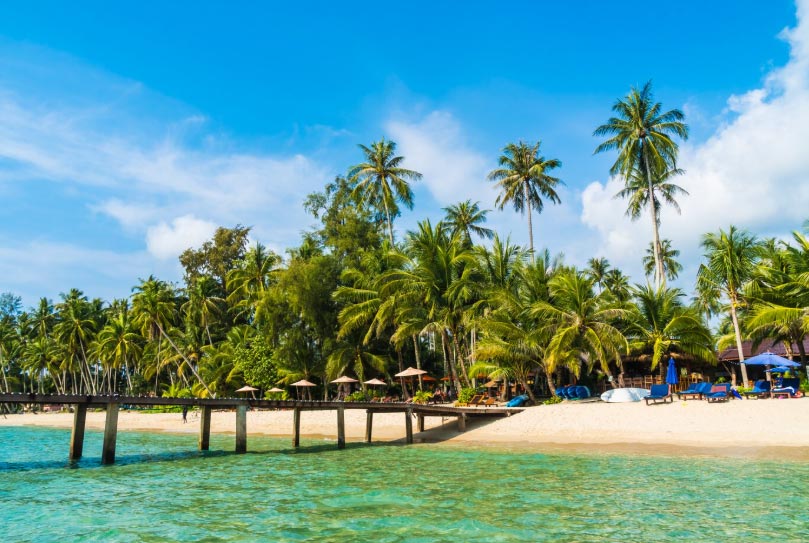 Top 10 Dominican Export in 2025 - Tendata