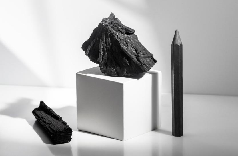 Which Countries Lead the Global Charcoal Import Market?
