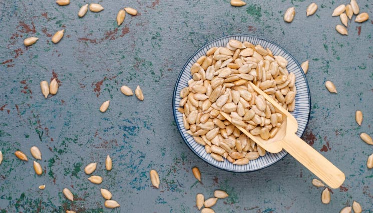 How Can Customs Data Help Me Identify Export Seeds Products?