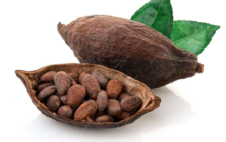 Top 10 Global Cocoa Imports by Country & Company - Tendata