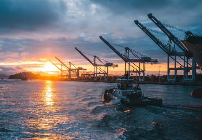 How Can I Find Reputable Petroleum Trading Companies?