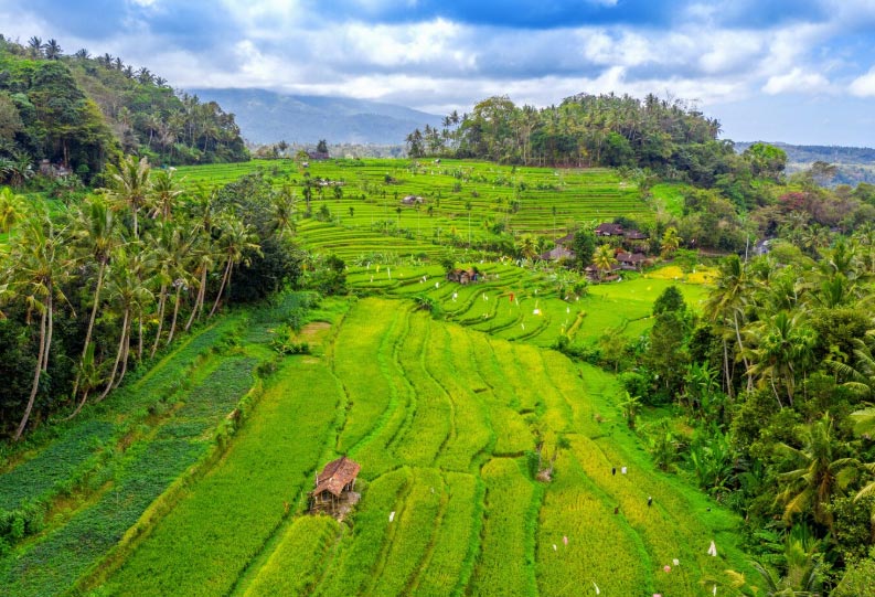 Top 10 Indonesia's Imports by Country & Company in 2025 - Tendata