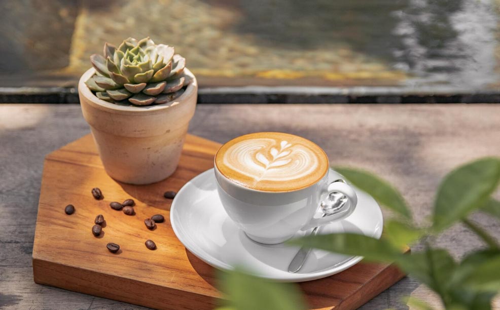 Top  Coffee Exporters Worldwide by Country & Company & Product- Tendata