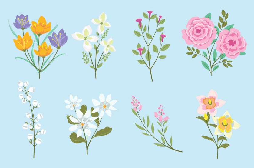 How Can I Find Reliable Colombian Flower Distributors?