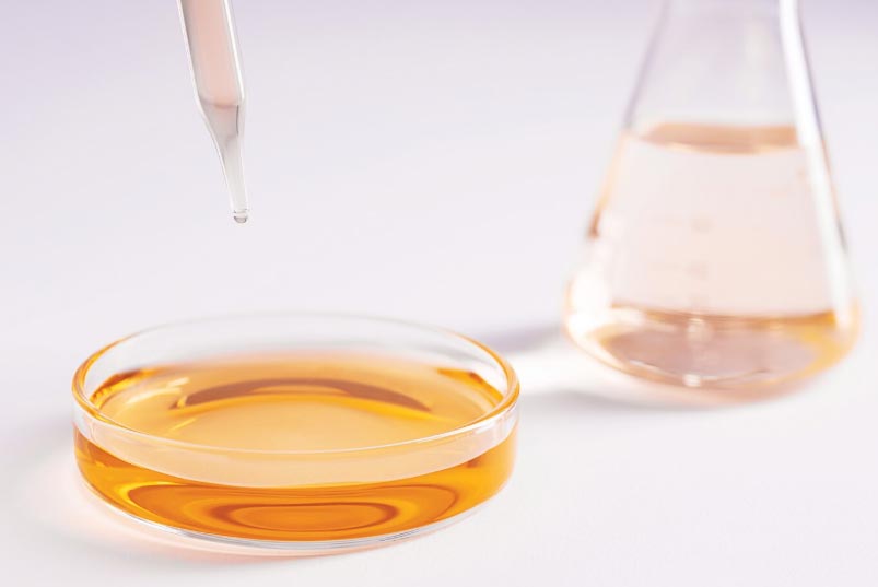 Where Can I Find Reliable Suppliers for Ethyl Vanillin and Related Chemicals?