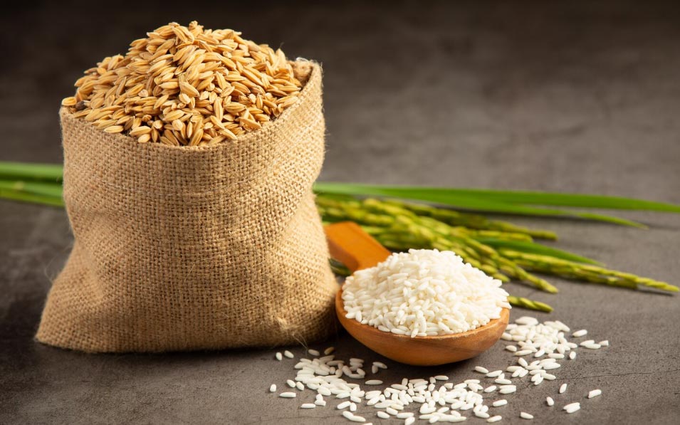 Global Highest Exporter of Rice by Country & Company & Products-Tendata