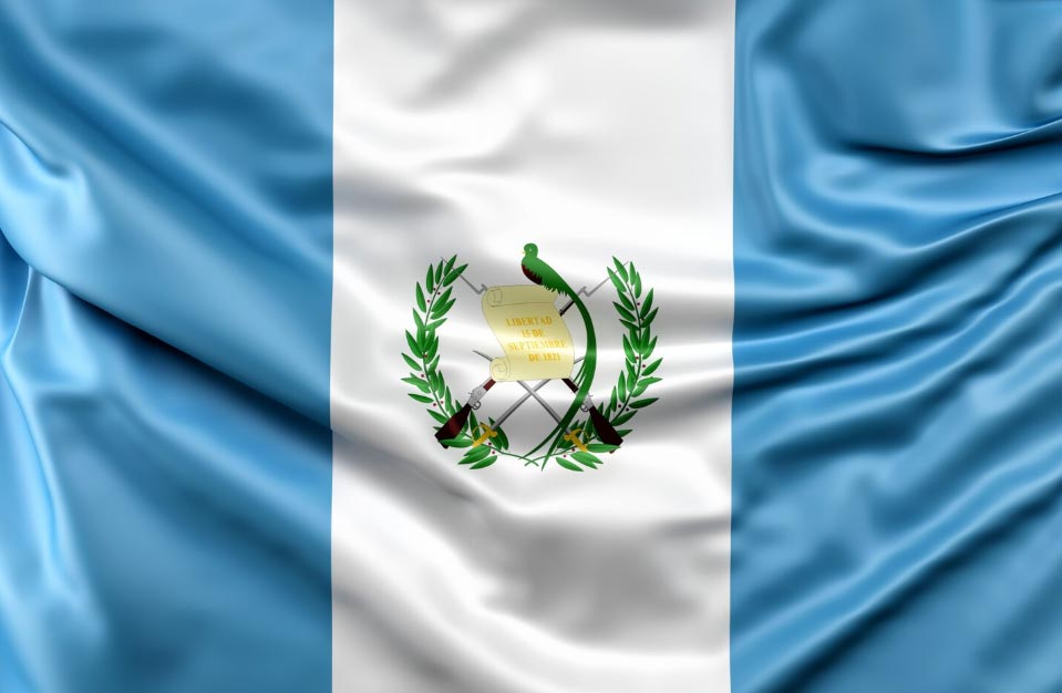 Guatemala Import Market Analysis 2025 - by Country & Company | Tendata
