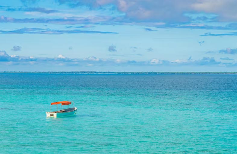 How Can I Find Reliable Caribbean Import and Export Businesses Online?