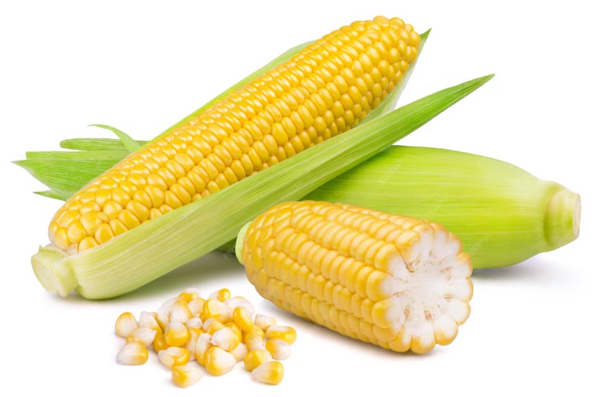 Top 10 US Corn Export by Country & Company & Product- Tendata