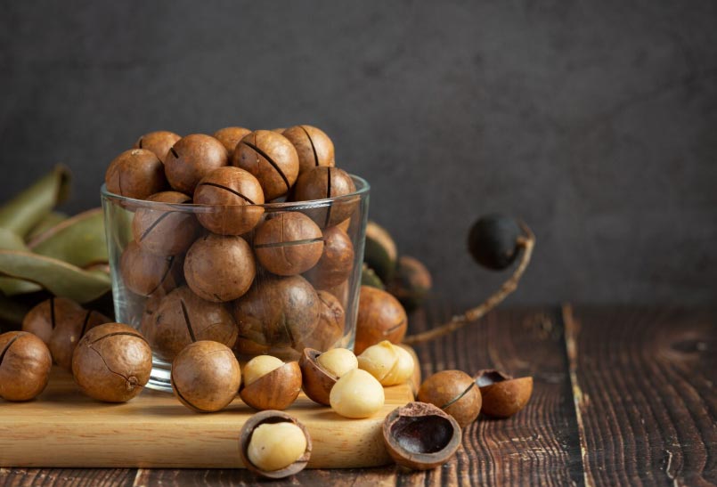 Global Macadamia Nuts Trade Exports & Imports Overview in 2025 - Tendata