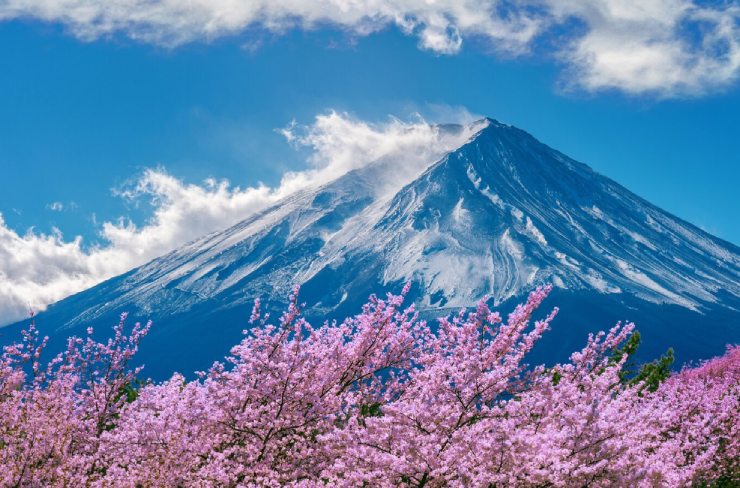 日本 (1)